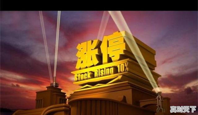 2、20万资金怎么炒股,玩股票怎么样才能赚到钱 - 真时天下