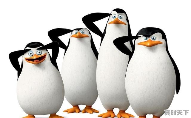 5、女主穿越的动漫国漫,虐恋动漫推荐国漫有哪些好看 - 真时天下