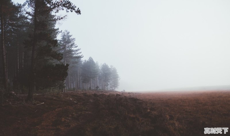 1、济南高温天气持续到几月份,济南最近天气 - 真时天下