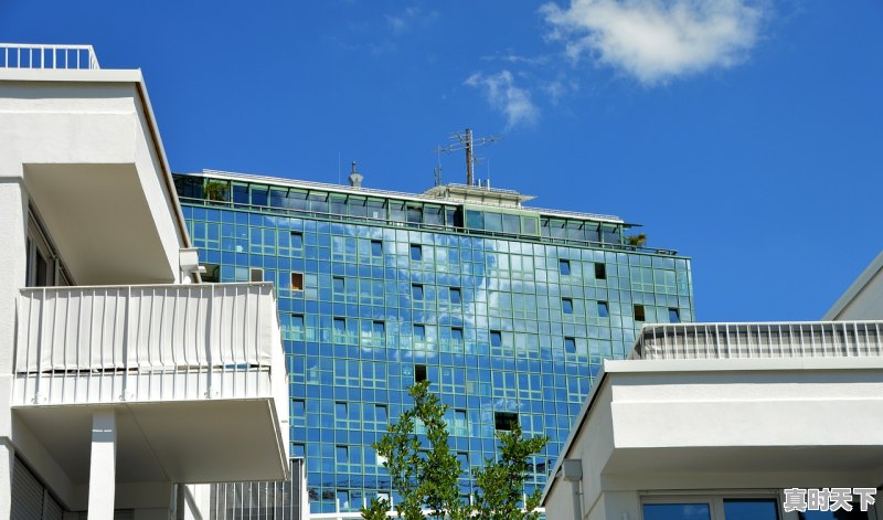 1、邢台市有鄂尔多斯羊绒衫专卖店吗,邢台今日羊绒价格 - 真时天下