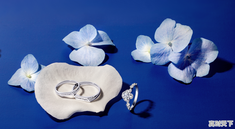 1、2023白金回收多少一克，今日白金价格 - 真时天下