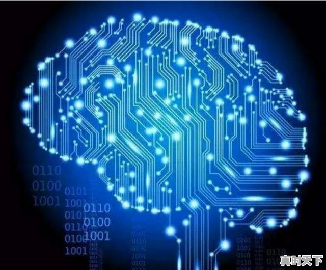 1、科技创新成就未来语句,坚持科技创新促进可持续发展 - 真时天下