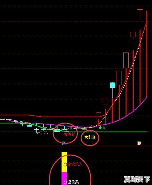 3、怎样看股票持股数,怎么看股票多少钱一只 - 真时天下