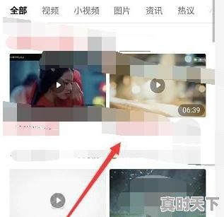 4、手机万能联播怎么下载网页的小视频，全能影视最新电影电视剧 - 真时天下