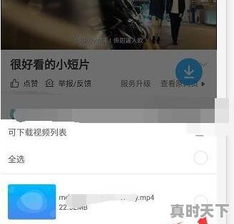6、手机万能联播怎么下载网页的小视频，全能影视最新电影电视剧 - 真时天下