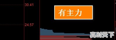 1、主力线和散户线指标怎么看,股票怎么看散户有多少资金 - 真时天下