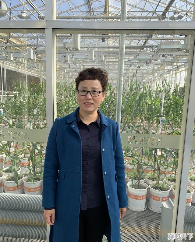 3、为什么说创新是引领军队发展的第一动力,科技创新能决定高质量发展吗为什么 - 真时天下