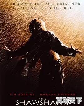 2、有哪些豆瓣高分的电影,最新电影高分电影 - 真时天下