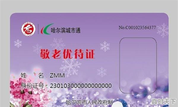 3、东北脱口秀十大名人,北京电影节呼兰 - 真时天下