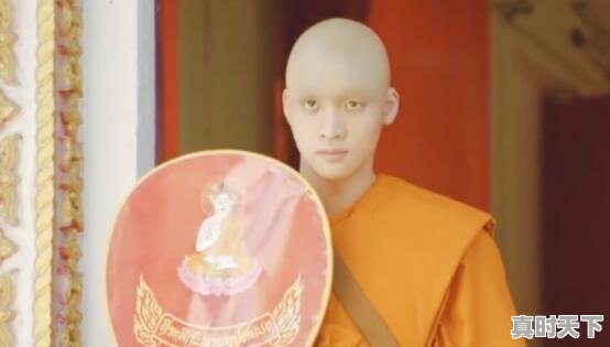 1、2020年票房最高的电影，最新电影大片2020夺冠是哪一部啊 - 真时天下