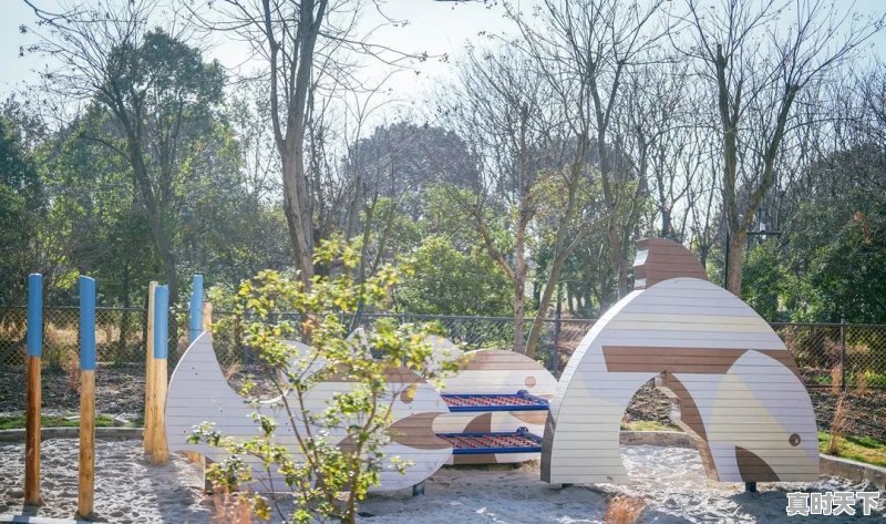 1、宝山区晚上一直有直升机飞来飞去,上海市宝山区天气 - 真时天下