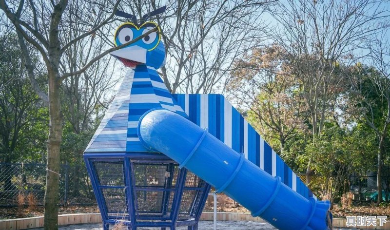 3、宝山区晚上一直有直升机飞来飞去,上海市宝山区天气 - 真时天下