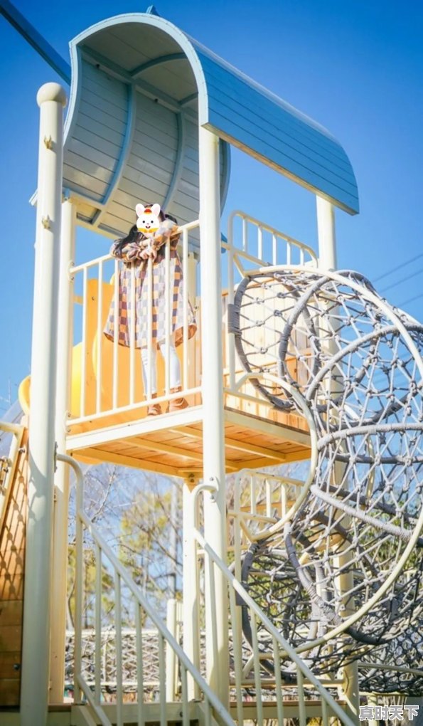 6、宝山区晚上一直有直升机飞来飞去,上海市宝山区天气 - 真时天下