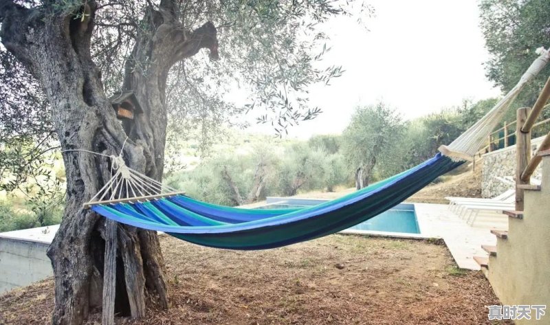 7、宝山区晚上一直有直升机飞来飞去,上海市宝山区天气 - 真时天下