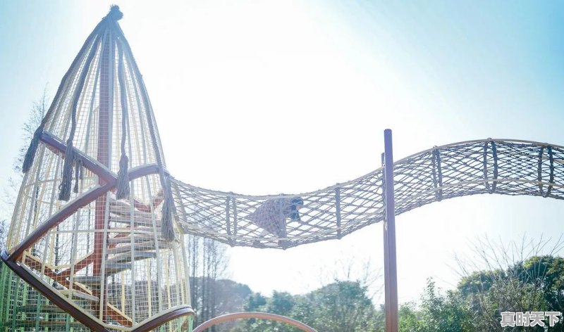 8、宝山区晚上一直有直升机飞来飞去,上海市宝山区天气 - 真时天下