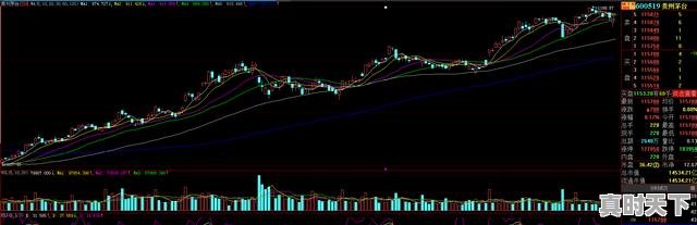 2、为什么股票下跌的时候不能买?很危险吗,股票什么时候不能买入 - 真时天下