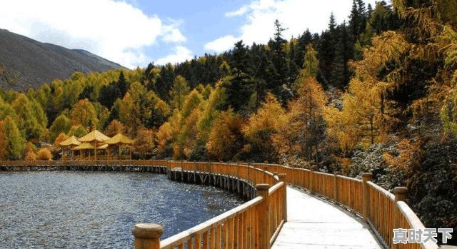 6、木格措杜鹃花开最佳时期,木格措天气 - 真时天下