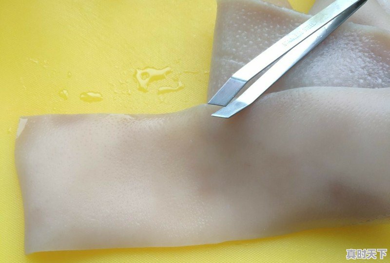 3、定州十大名吃,今日定州生猪价格 - 真时天下