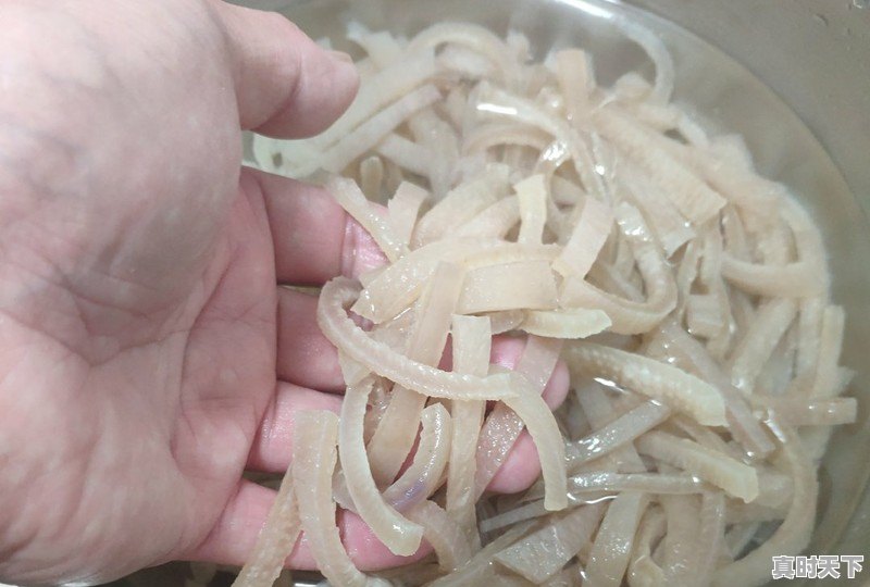 5、定州十大名吃,今日定州生猪价格 - 真时天下