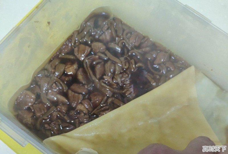 10、定州十大名吃,今日定州生猪价格 - 真时天下