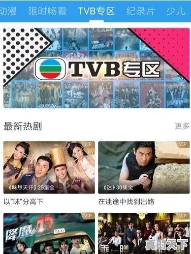 1、最好用的电影网站,电影节目排行 - 真时天下