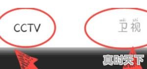 3、电影频道可以回看吗，电影节目回放在哪看啊 - 真时天下