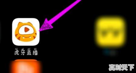 6、电影频道可以回看吗，电影节目回放在哪看啊 - 真时天下