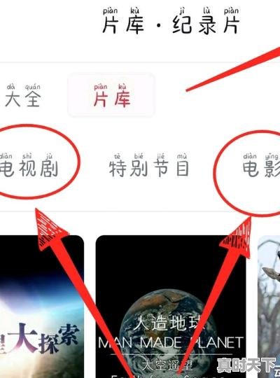 5、cctv6电影频道专门介绍电影的节目有哪些，央视电影节目推荐 - 真时天下