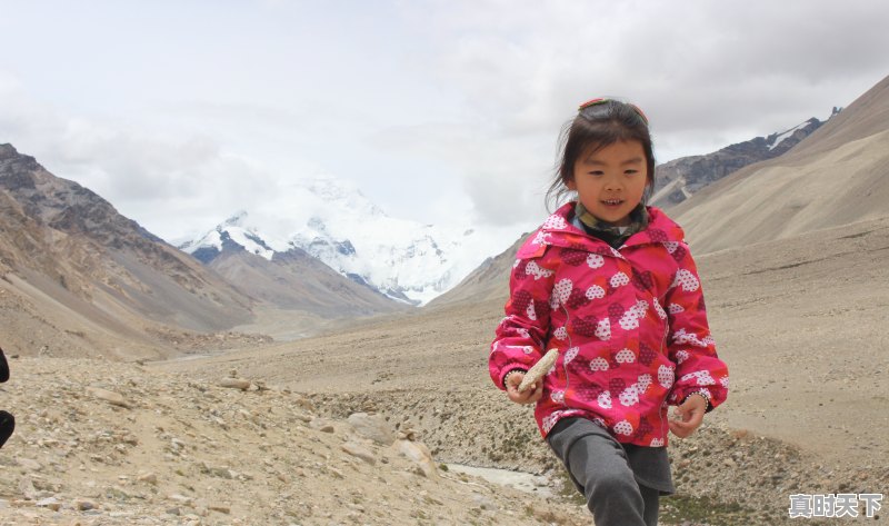 3、进藏最适合穷人的三款车,西藏二手车店排行榜 - 真时天下