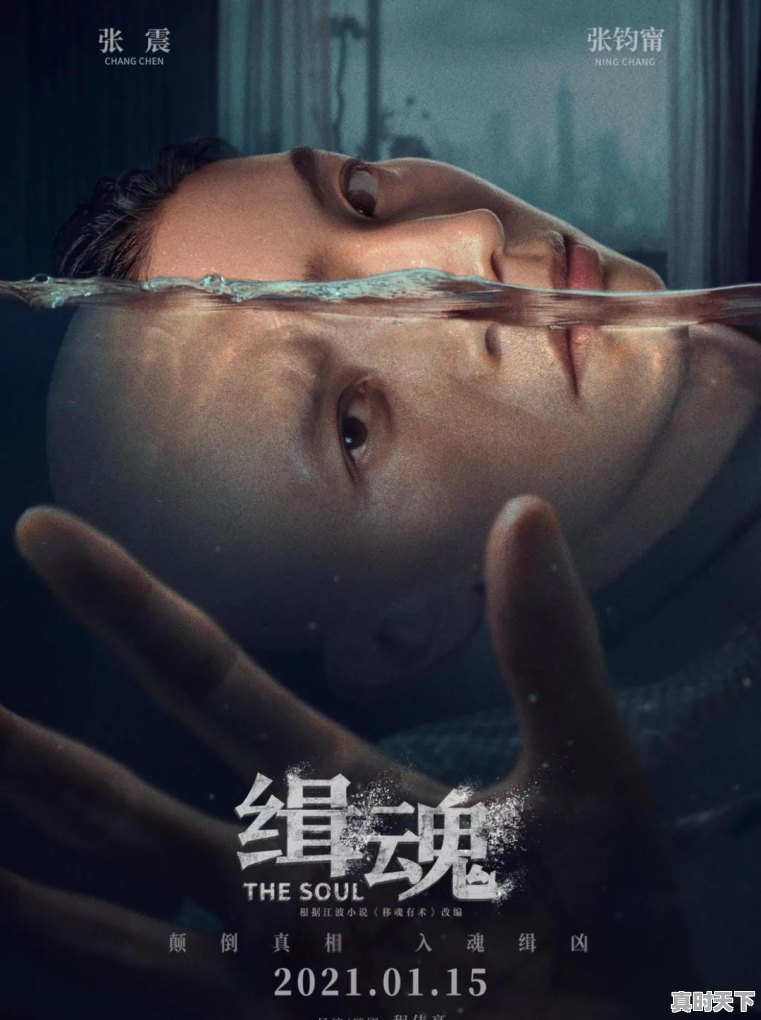 3、票房排名前10的电影，2022欧美最新电影推荐排行榜前十名 - 真时天下