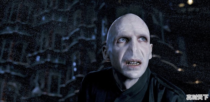 4、日韩欧美免费好看的电视剧电影,2022欧美最新电影推荐排行榜大全 - 真时天下