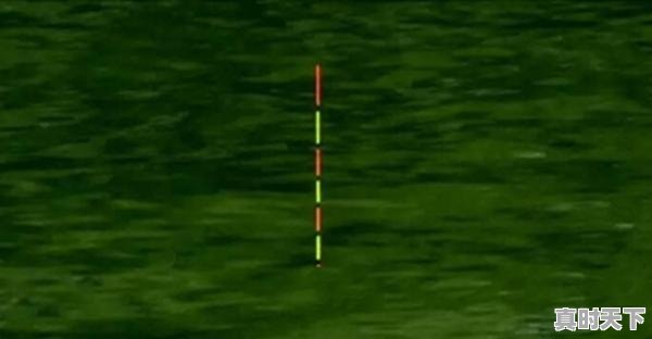 3、浮漂调灵的最佳方法,股票挂单挂底买入卖出技巧 - 真时天下