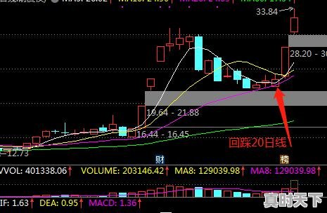 4、股民小马股市短线精髓，股票怎样短线快速赚钱呢 - 真时天下