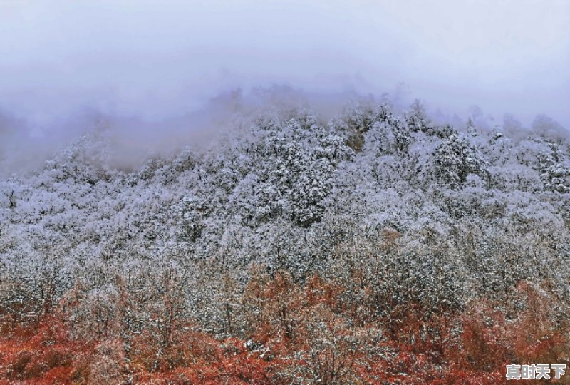 3、想问如果12月底去海螺沟如何,海螺沟天气 - 真时天下