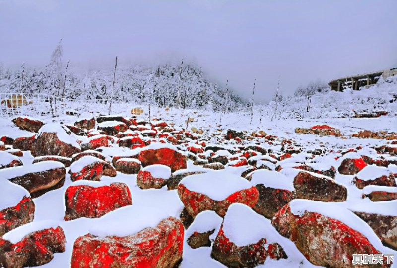 5、想问如果12月底去海螺沟如何,海螺沟天气 - 真时天下