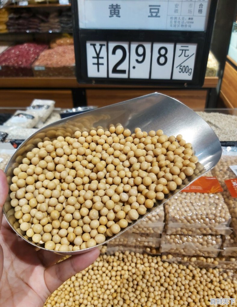 2、智慧乡村成功案例,砀山今日猪价格 - 真时天下