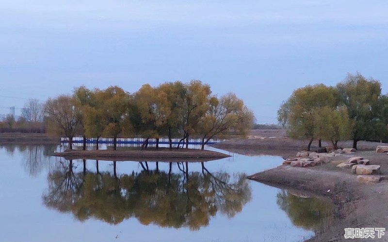 4、哈尔滨道里区今天下雨了吗，哈尔滨今日天气 - 真时天下