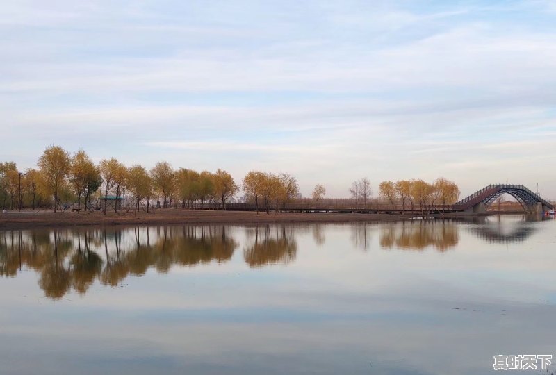 6、哈尔滨道里区今天下雨了吗，哈尔滨今日天气 - 真时天下