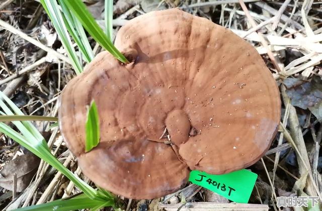 3、科学大会四个回归大学生回归什么,科技创新后面加什么 - 真时天下