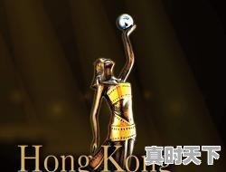 4、香港电影设的奖有哪些,香港电影节什么奖 - 真时天下