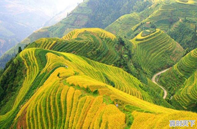 1、如何创新现代农业发展模式,坚持科技创新发展绿色农业 - 真时天下