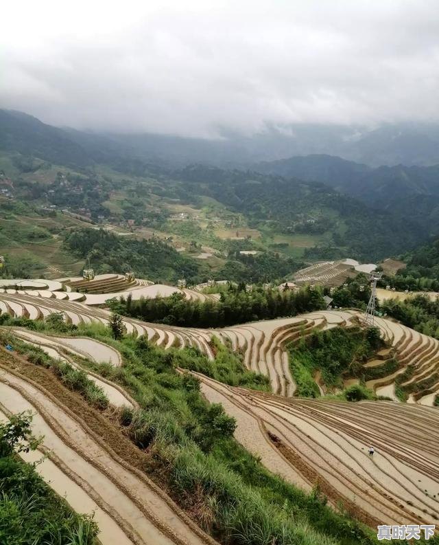 5、如何创新现代农业发展模式,坚持科技创新发展绿色农业 - 真时天下