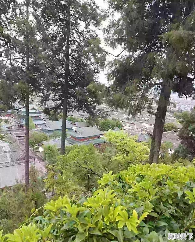 4、天气冷就头疼.就像感冒了一样，天气冷 - 真时天下