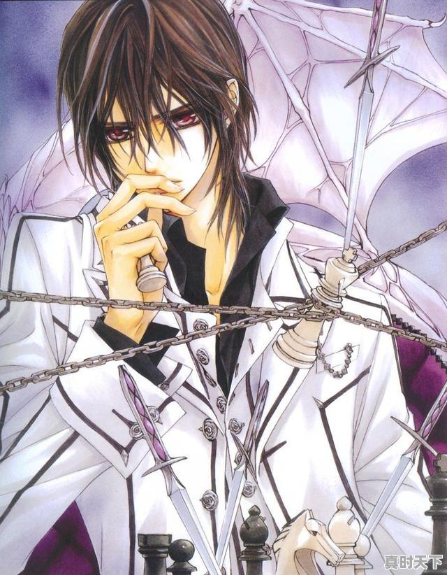 3、双男主吸血鬼动漫有哪些,动漫推荐日漫双男主英雄 - 真时天下