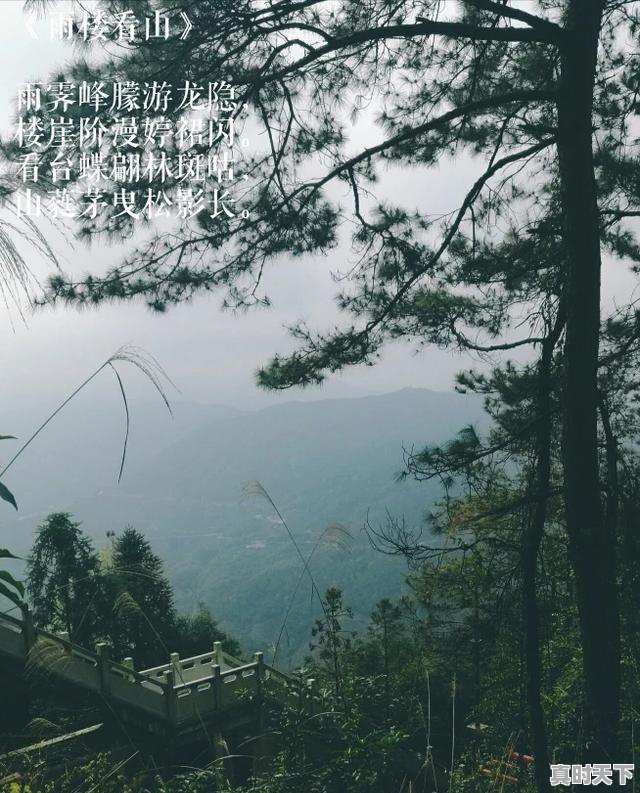 4、建设创新型国家的核心是把什么作为发展科学技术的战略基点,推动科技创新必须以什么为主 - 真时天下