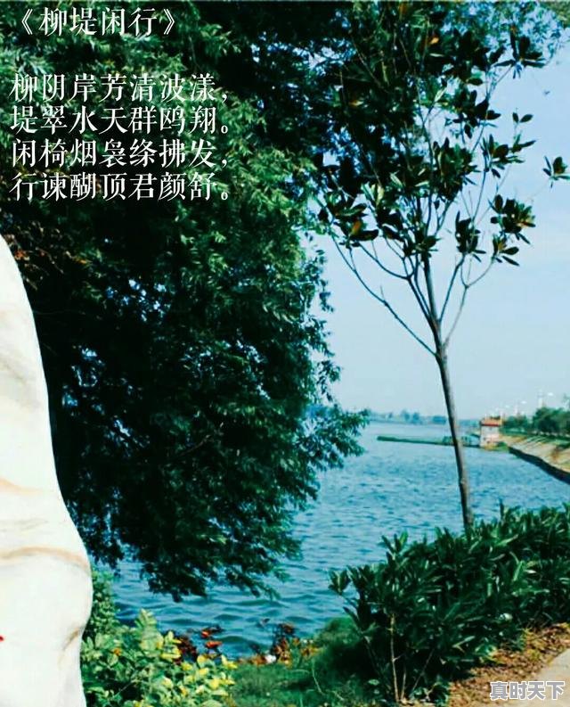 5、建设创新型国家的核心是把什么作为发展科学技术的战略基点,推动科技创新必须以什么为主 - 真时天下