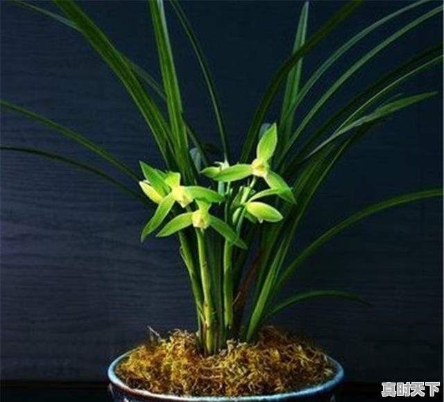 2、有关湖北京山的诗词歌赋！急，京山县天气 - 真时天下