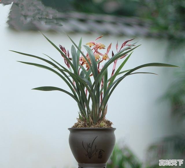 3、有关湖北京山的诗词歌赋！急，京山县天气 - 真时天下