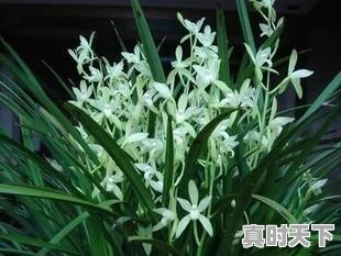 4、有关湖北京山的诗词歌赋！急，京山县天气 - 真时天下