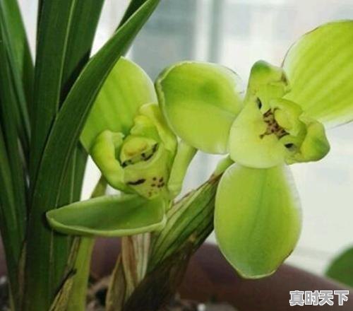 5、有关湖北京山的诗词歌赋！急，京山县天气 - 真时天下